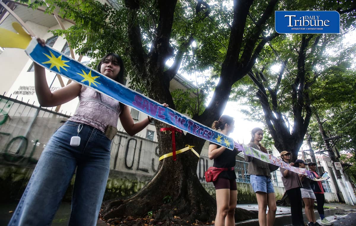 (October 11 2026) Marikina Kontra Agos an Environmentalists and advocates group, stage tree-tagging symbolically placed artworks and nature walk in Provident, Marikina to save trees on Sunday, October 11, 2026, as part of their protest of the planned construction of Asian Development Bank Bridge 1 under the Metro Manila Bridges Project. The group strongly opposes the project, arguing that the construction would require the cutting of century-old and decades-old trees, the groups also warn that removing the mature trees could worsen flood risks, damage the local environment, and intensify urban heat. Photo/Analy Labor