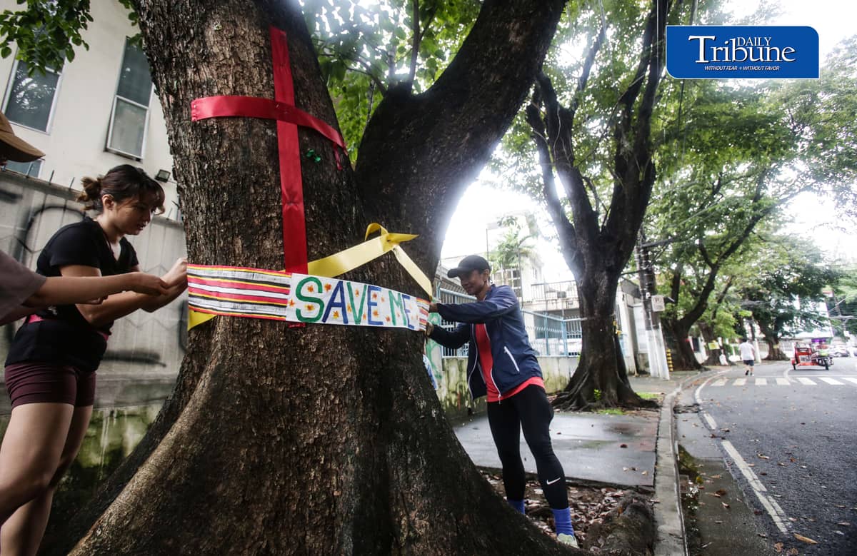 (October 11 2026) Marikina Kontra Agos an Environmentalists and advocates group, stage tree-tagging symbolically placed artworks and nature walk in Provident, Marikina to save trees on Sunday, October 11, 2026, as part of their protest of the planned construction of Asian Development Bank Bridge 1 under the Metro Manila Bridges Project. The group strongly opposes the project, arguing that the construction would require the cutting of century-old and decades-old trees, the groups also warn that removing the mature trees could worsen flood risks, damage the local environment, and intensify urban heat. Photo/Analy Labor