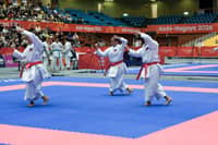 Karate targeting foreign expertise
