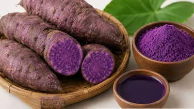 Bukidnon ube farmers secure P35-M deal for export market