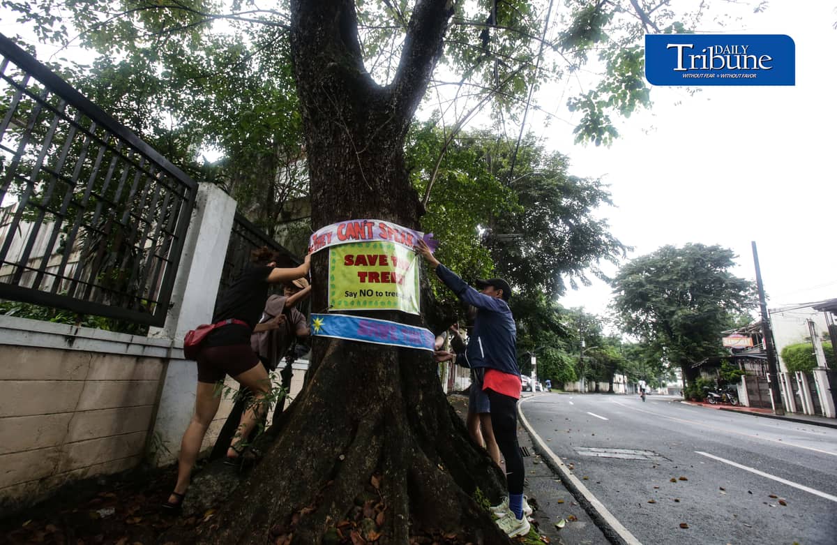 (October 11 2026) Marikina Kontra Agos an Environmentalists and advocates group, stage tree-tagging symbolically placed artworks and nature walk in Provident, Marikina to save trees on Sunday, October 11, 2026, as part of their protest of the planned construction of Asian Development Bank Bridge 1 under the Metro Manila Bridges Project. The group strongly opposes the project, arguing that the construction would require the cutting of century-old and decades-old trees, the groups also warn that removing the mature trees could worsen flood risks, damage the local environment, and intensify urban heat. Photo/Analy Labor