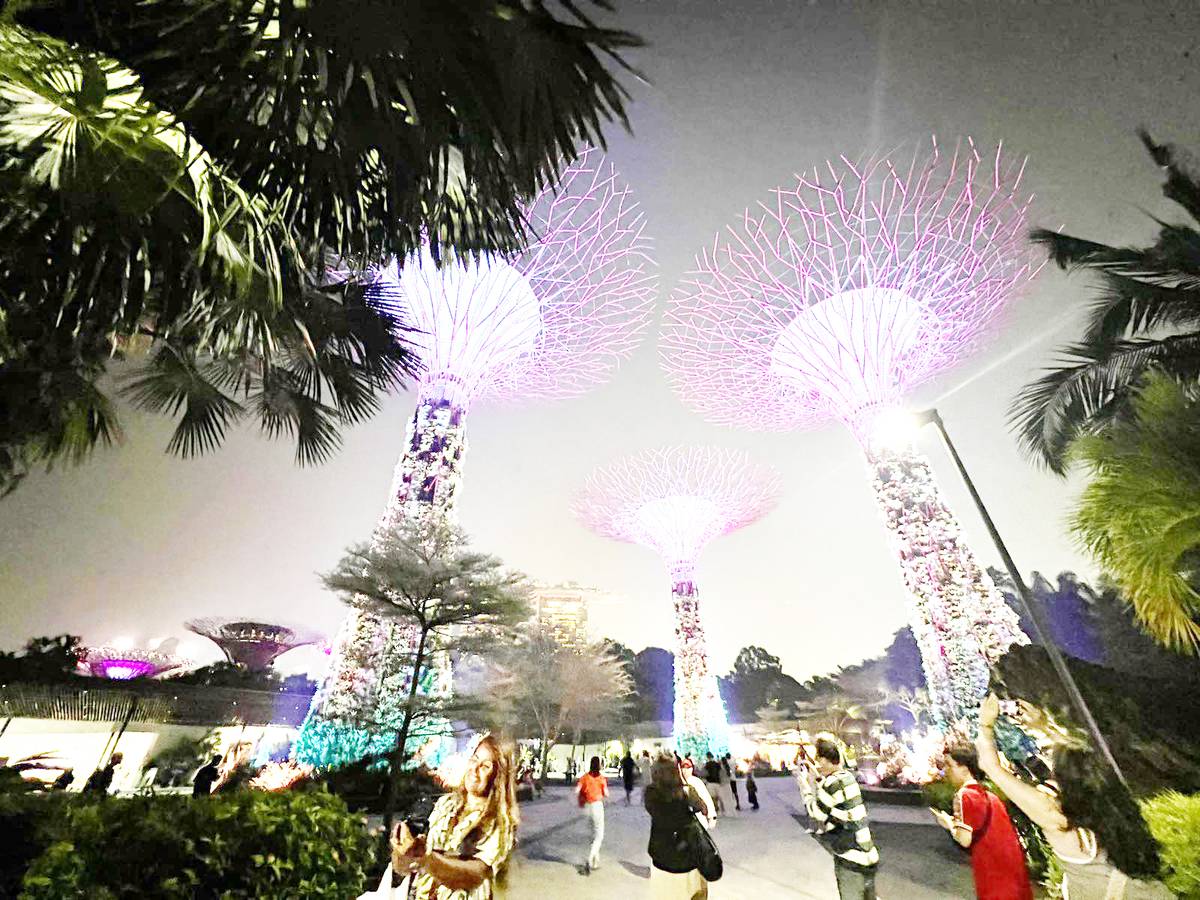 THE captivating light show at Gardens By the Bay, which will make visitors feel that they are in the Avatar movie setting.