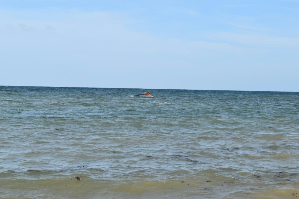 Djibouti boat wreck leaves 139 migrants dead, 84 missing: UN