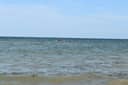 Djibouti boat wreck leaves 139 migrants dead, 84 missing: UN