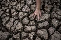 DOT-2 urges tourism sector to prepare for El Niño through 2027