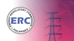 ERC clears Cebu battery deal to ease Visayas power risks