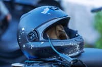 Motorcycle passenger killed in Antipolo highway crash