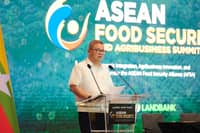 DA pushes ‘Big Brother’ model to empower farmers