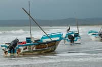 El Niño sets temperature record in key Pacific zone