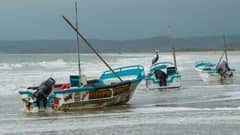 El Niño sets temperature record in key Pacific zone