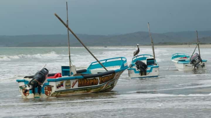 El Niño sets temperature record in key Pacific zone