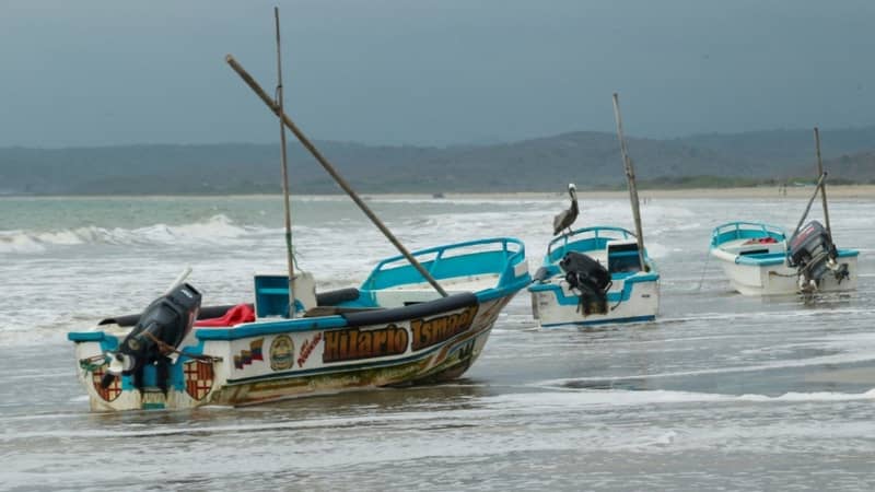 El Niño sets temperature record in key Pacific zone