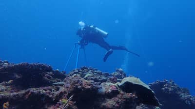 DENR deploys early warning systems to monitor forest fires, coral bleaching, water shortages