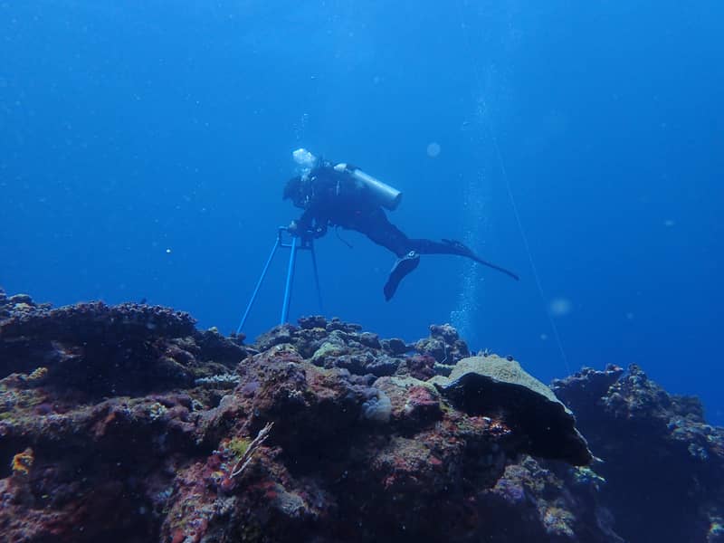 DENR deploys early warning systems to monitor forest fires, coral bleaching, water shortages