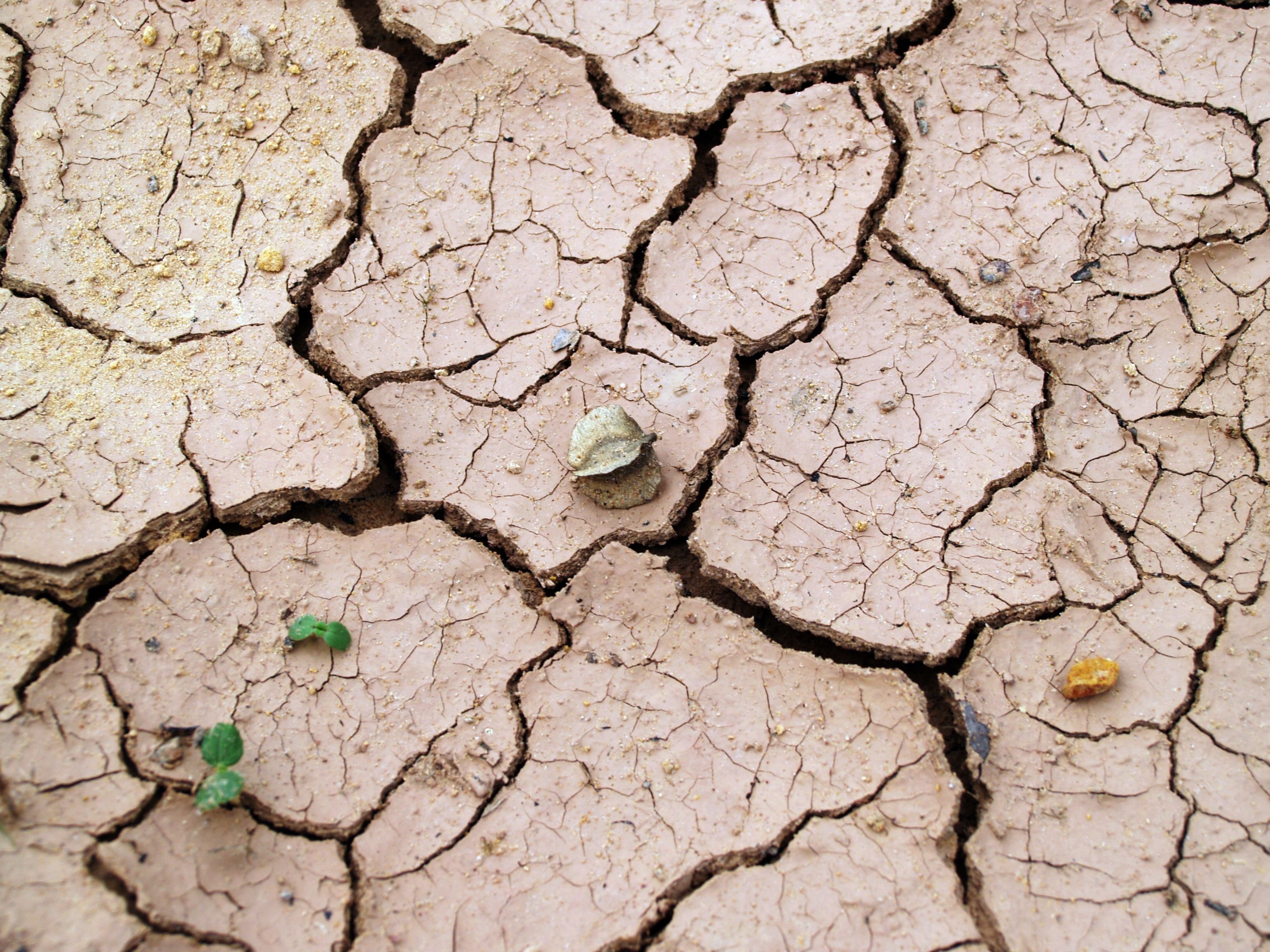CALABARZON, MIMAROPA face 2027 drought threat