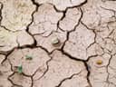 CALABARZON, MIMAROPA face 2027 drought threat