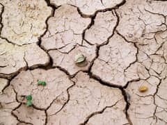 CALABARZON, MIMAROPA face 2027 drought threat