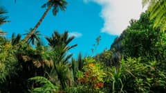 Green economy offers path