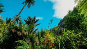 Green economy offers path