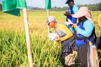 Piddig farmers trained on climate-resilient rice farming amid El Niño threat