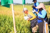 Piddig farmers trained on climate-resilient rice farming amid El Niño threat