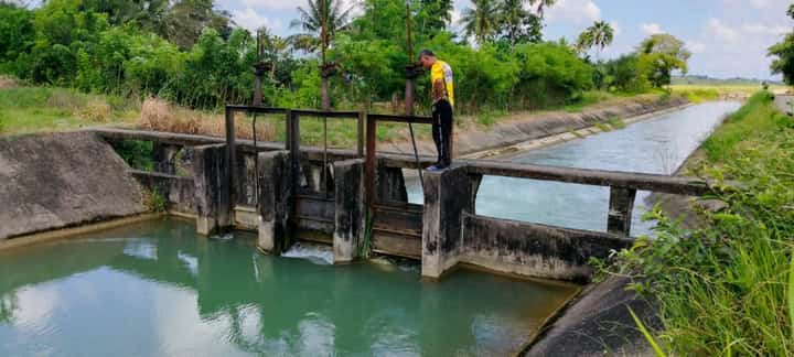NIA Cordillera readies for impacts of heightened El Niño