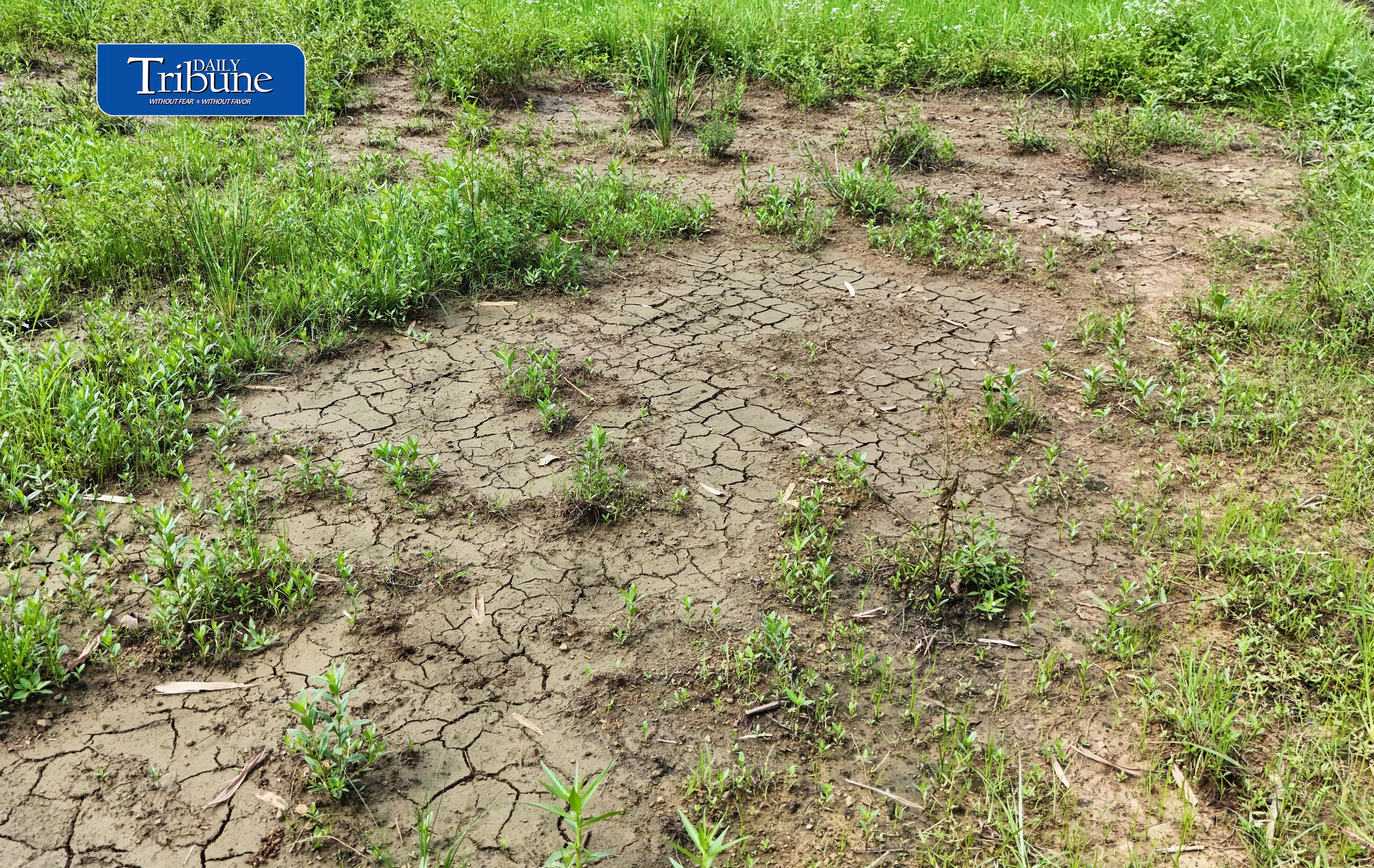 Drought threats intensify Central Visayas preparations