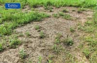 Drought threats intensify Central Visayas preparations
