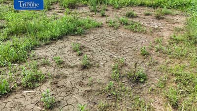 Drought threats intensify Central Visayas preparations
