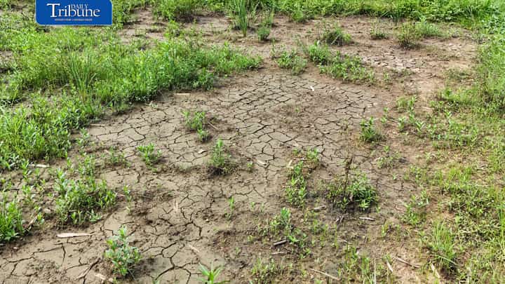 Drought threats intensify Central Visayas preparations