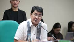 SENATOR Erwin Tulfo
