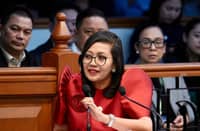 PUBLIC prosecutor Rep. Gerville Luistro