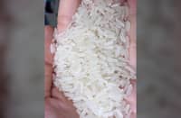 DT8 is a light, fragrant rice, newly grown and developed in Vietnam and grown in many areas of the Mekong Delta.