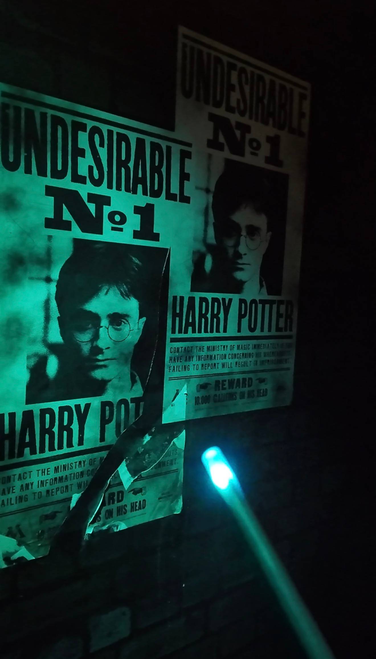 HARRY Potter, the ‘Undesirable No. 1’