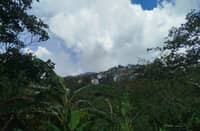 Baguio activates El Niño action plan as water monitoring hits orange phase