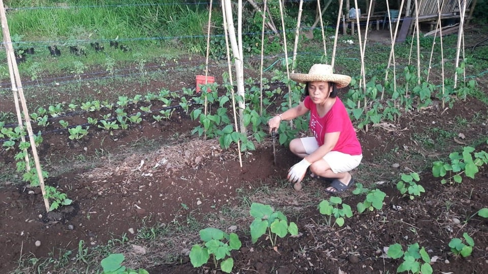 Marcos EO opens income opportunities through green projects