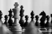 NCFP dangles titles in 3 chess tourneys