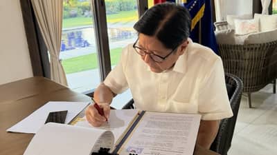 Carbon market plan offers income opportunities — BBM