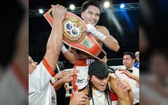 Sacrificial lamb?: Fajardo enters IBF clash as underdog
