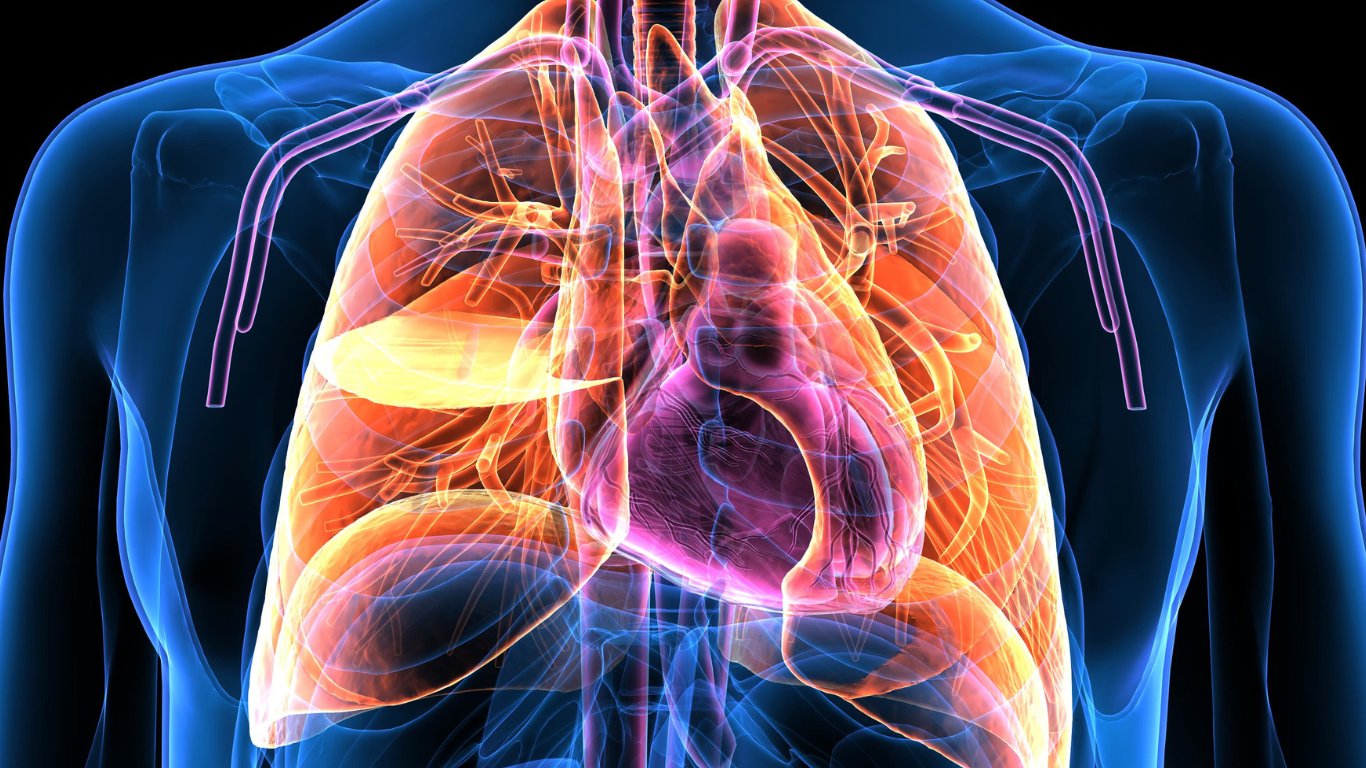 Respiratory cases rise 27% in CV