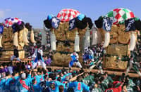 Festival float crushes deputy mayor to death
