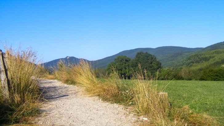 Open roads of Spain, France from the Camino