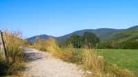 Open roads of Spain, France from the Camino