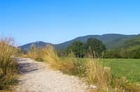 Open roads of Spain, France from the Camino
