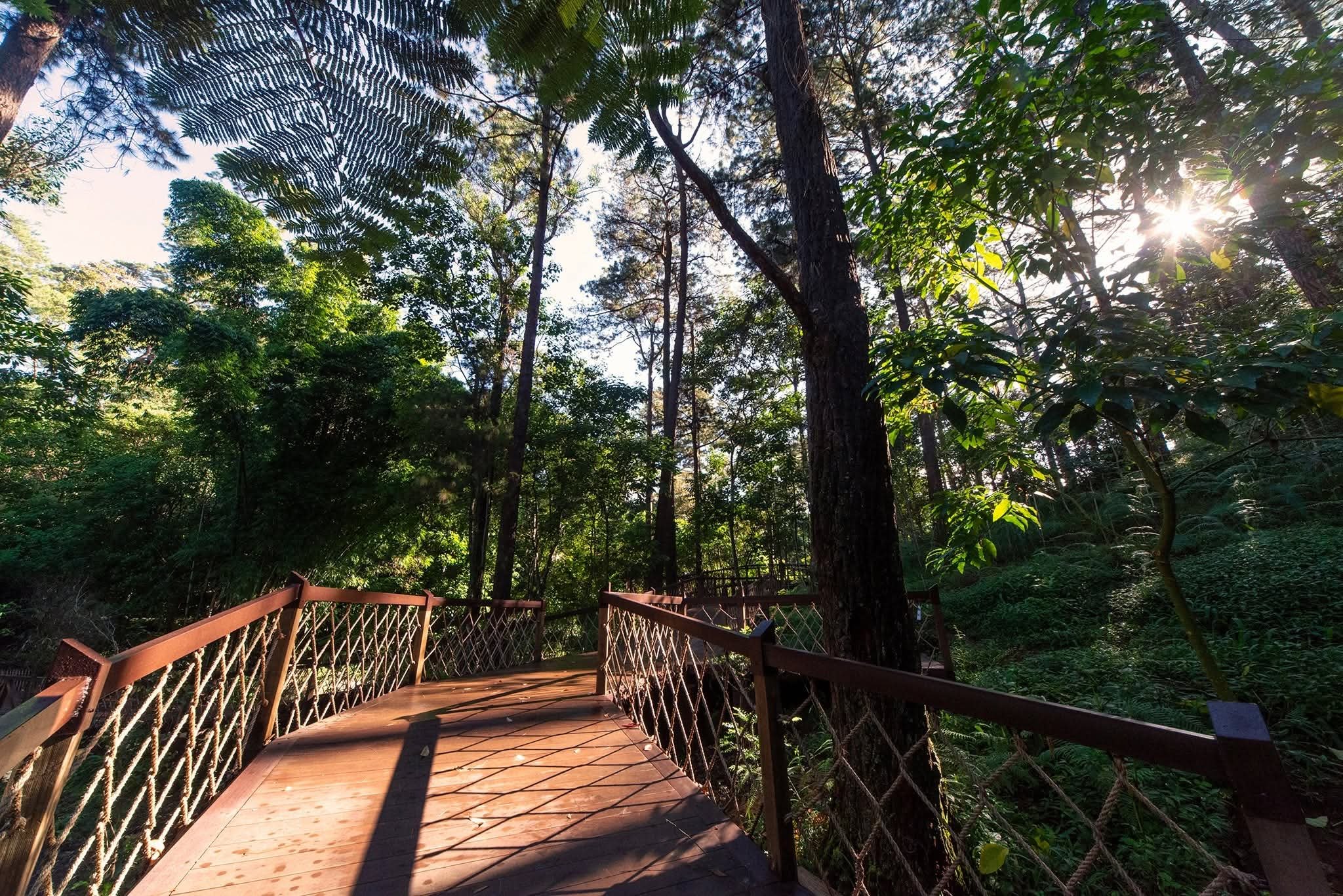 Baguio opens new nature sanctuary