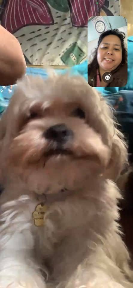 MANAGING my hospital-induced separation anxiety via video call.
