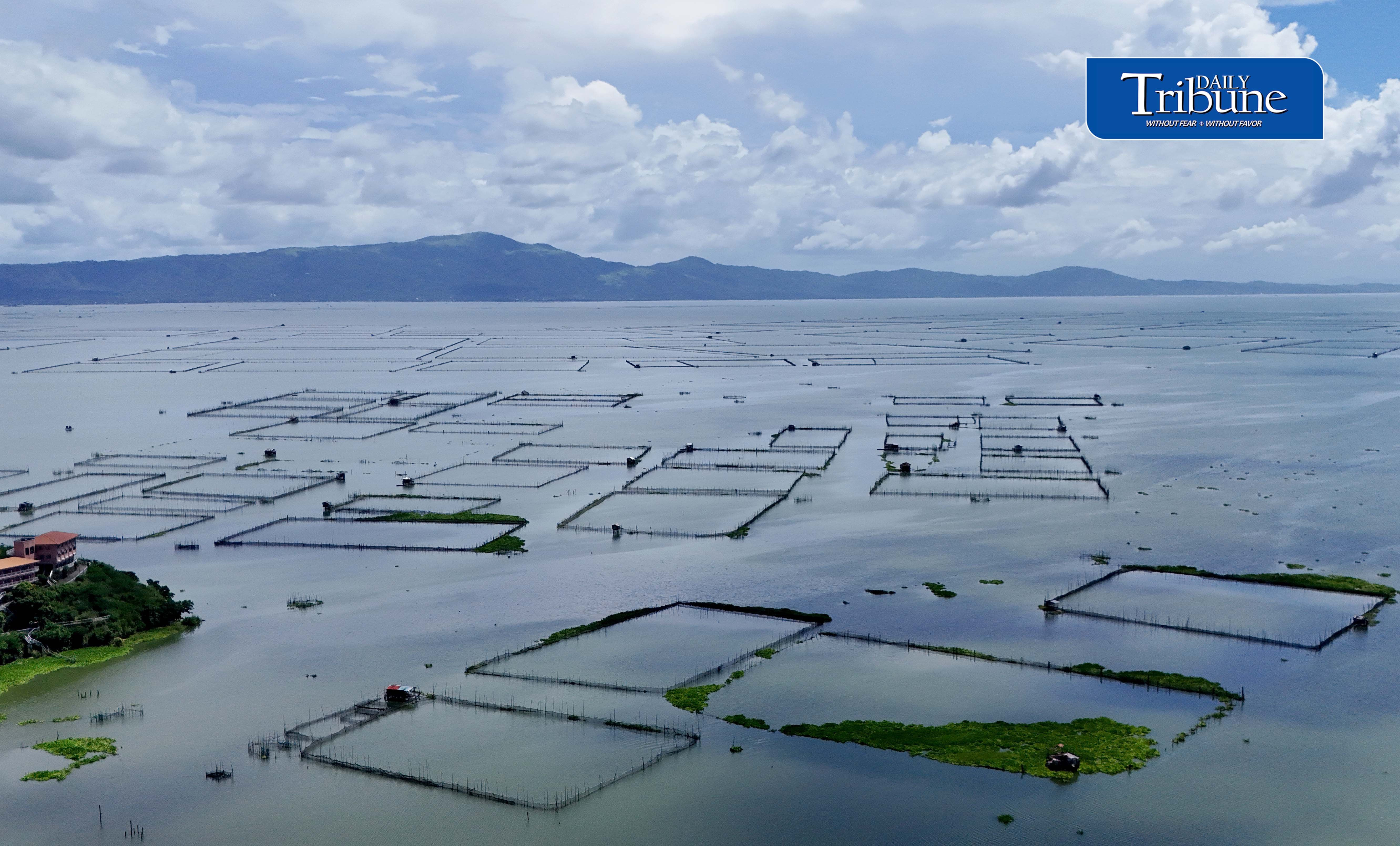 Laguna De bay Fish Cage 