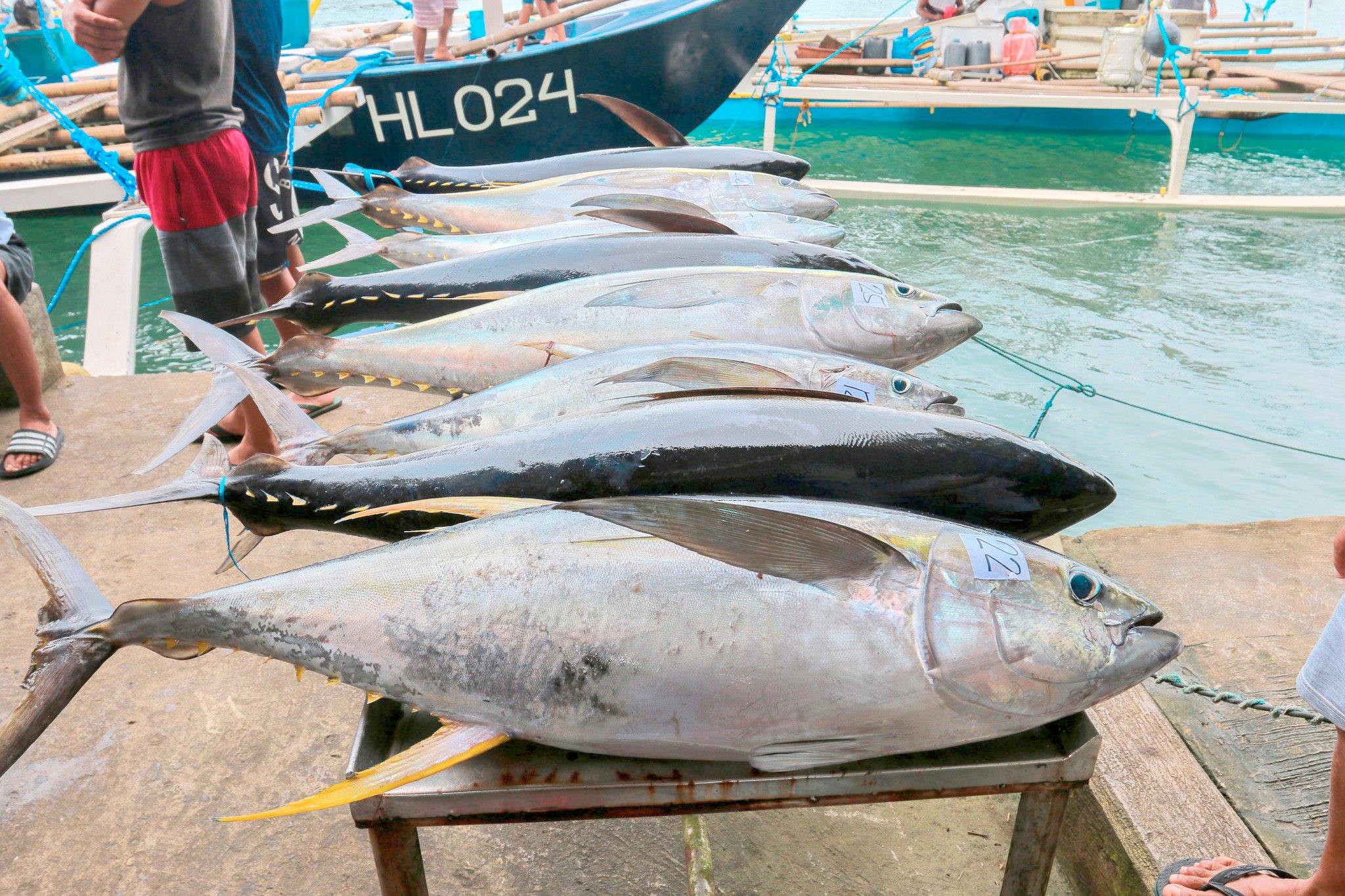 Eastern Samar eyes local tuna production expansion