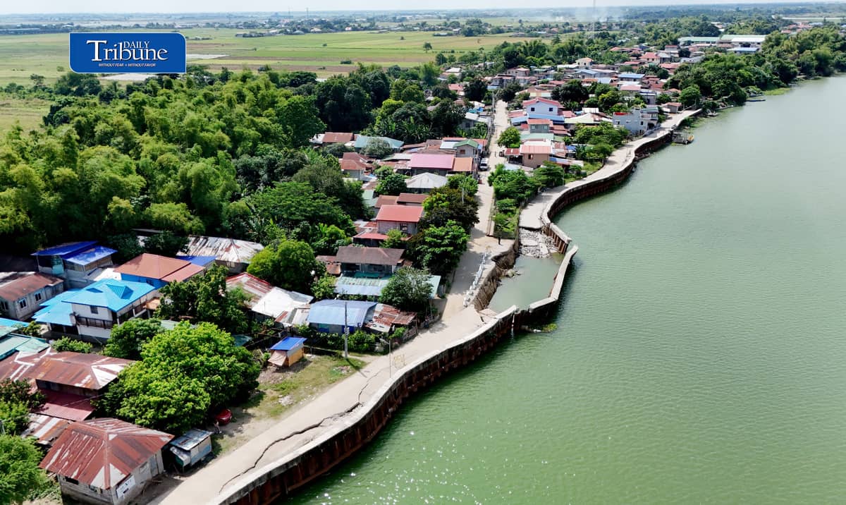 P96-M FLOOD CONTROL PROJECT REMAINS DAMAGED IN PAMPANGA
A damaged section of the P96-million San Mateo Flood Control Project in Barangay San Mateo, Arayat, Pampanga, remains untouched on Wednesday, 21 October, despite authorities' earlier commitment to remove the affected sheet piles.
Declared completed in 2024, the project partially collapsed this month after deficiencies were discovered involving 56 linear meters of sheet piles that reportedly failed to meet the required 36-meter depth.
The incident comes amid renewed scrutiny of government flood control spending following the Supreme Court's ruling declaring the Special Assistance for Government Infrastructure and Social Programs (SAGIP) provisions in the 2024 and 2025 national budgets unconstitutional.
The Court ruled that SAGIP improperly gave the executive branch authority to allocate funds for infrastructure projects after the budgets had been enacted.
Photo by Analy Labor | Daily Tribune
#DailyTribune