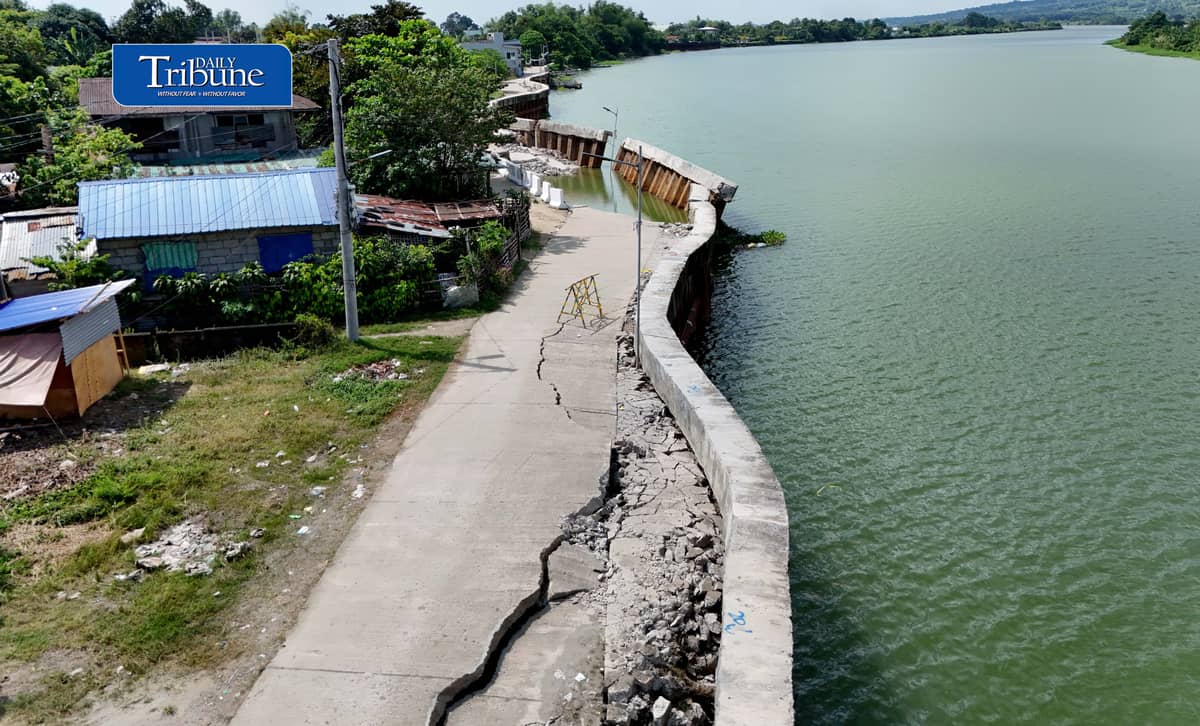 P96-M FLOOD CONTROL PROJECT REMAINS DAMAGED IN PAMPANGA
A damaged section of the P96-million San Mateo Flood Control Project in Barangay San Mateo, Arayat, Pampanga, remains untouched on Wednesday, 21 October, despite authorities' earlier commitment to remove the affected sheet piles.
Declared completed in 2024, the project partially collapsed this month after deficiencies were discovered involving 56 linear meters of sheet piles that reportedly failed to meet the required 36-meter depth.
The incident comes amid renewed scrutiny of government flood control spending following the Supreme Court's ruling declaring the Special Assistance for Government Infrastructure and Social Programs (SAGIP) provisions in the 2024 and 2025 national budgets unconstitutional.
The Court ruled that SAGIP improperly gave the executive branch authority to allocate funds for infrastructure projects after the budgets had been enacted.
Photo by Analy Labor | Daily Tribune
#DailyTribune